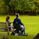 Close friends under the tree  screen for extension Chrome web store in OffiDocs Chromium