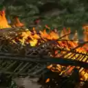 Close up of Burning Wooden Fence  screen for extension Chrome web store in OffiDocs Chromium