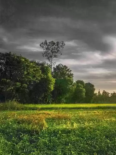 Free download Cloud Beauty Nature -  free free photo or picture to be edited with GIMP online image editor