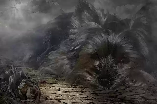 Free download Clouds Dog Image Overlay -  free free photo or picture to be edited with GIMP online image editor