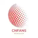 CNFans Helper  screen for extension Chrome web store in OffiDocs Chromium