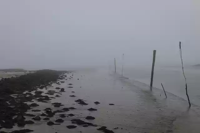Free download Coast North Sea Fog -  free photo or picture to be edited with GIMP online image editor