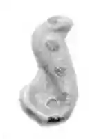 Free download Cobra amulet free photo or picture to be edited with GIMP online image editor