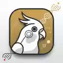 Cockatiel Mutation Calculator By ChartFarosh  screen for extension Chrome web store in OffiDocs Chromium