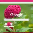 Cockscomb  screen for extension Chrome web store in OffiDocs Chromium
