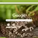 Coc nui  screen for extension Chrome web store in OffiDocs Chromium