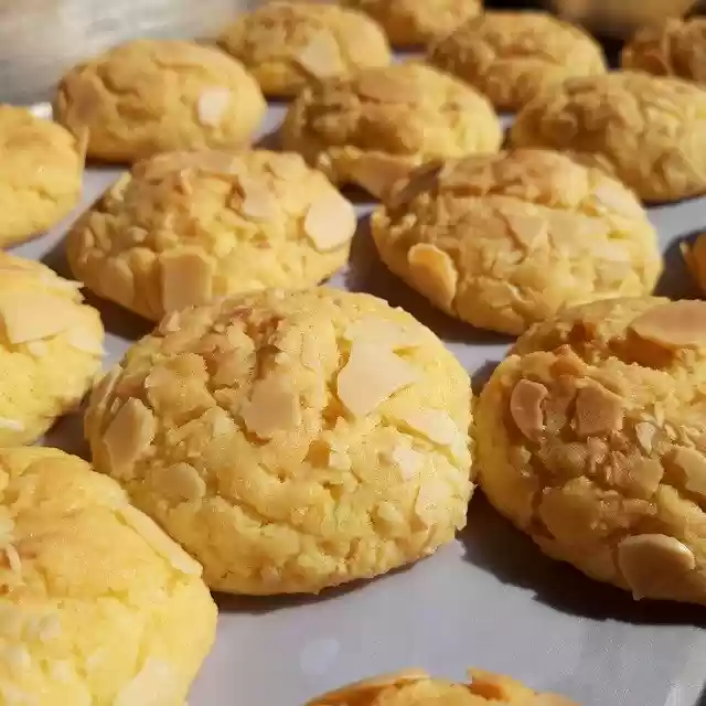 Free download Coconut Cake Biscuits -  free photo or picture to be edited with GIMP online image editor