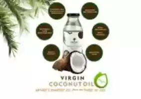 Free download cocoyangi-min free photo or picture to be edited with GIMP online image editor