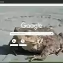 Coc xam  screen for extension Chrome web store in OffiDocs Chromium