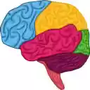 CodingBuddy  screen for extension Chrome web store in OffiDocs Chromium