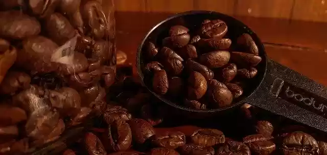 Free download Coffee Bean A Shop -  free photo or picture to be edited with GIMP online image editor