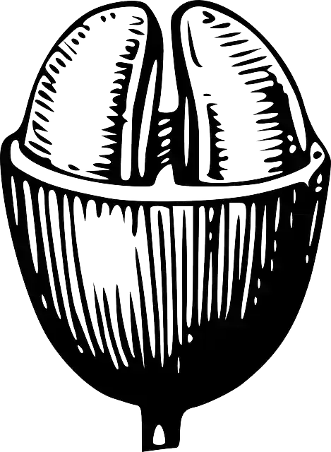 Free download Coffee Bean Beans - Free vector graphic on Pixabay free illustration to be edited with GIMP free online image editor