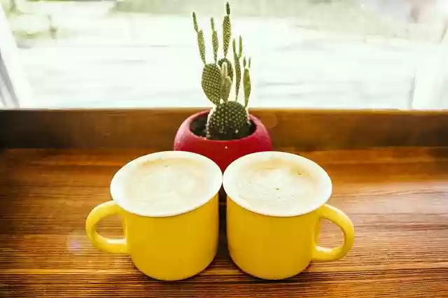 Free download Coffee Couple Drink -  free photo or picture to be edited with GIMP online image editor