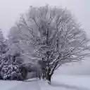 Cold winter  screen for extension Chrome web store in OffiDocs Chromium