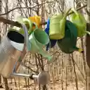 Collection of watering cans  screen for extension Chrome web store in OffiDocs Chromium