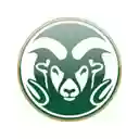 Colorado State University Theme  screen for extension Chrome web store in OffiDocs Chromium