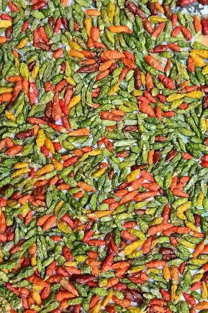 Free download Color Background Chili -  free photo or picture to be edited with GIMP online image editor