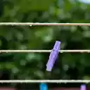 Colored Clothespins  screen for extension Chrome web store in OffiDocs Chromium