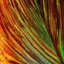 Colorful Art  screen for extension Chrome web store in OffiDocs Chromium