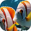 colorful fish swimming under the sea  screen for extension Chrome web store in OffiDocs Chromium