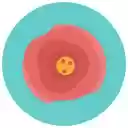 Colorful Flower Green Orange  screen for extension Chrome web store in OffiDocs Chromium