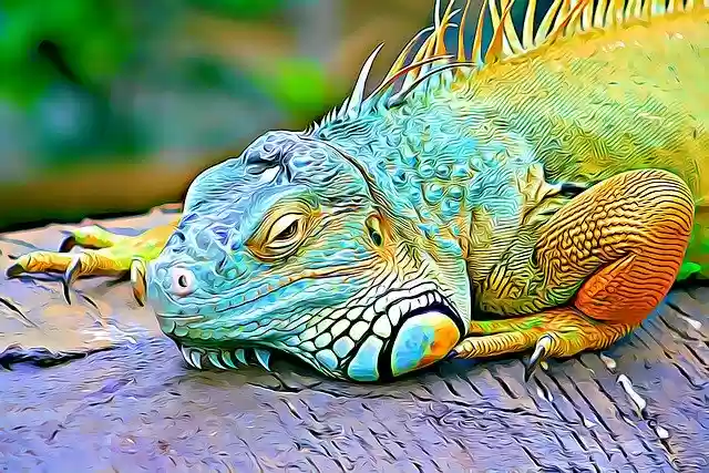 Free download Color Reptile Eye -  free illustration to be edited with GIMP free online image editor