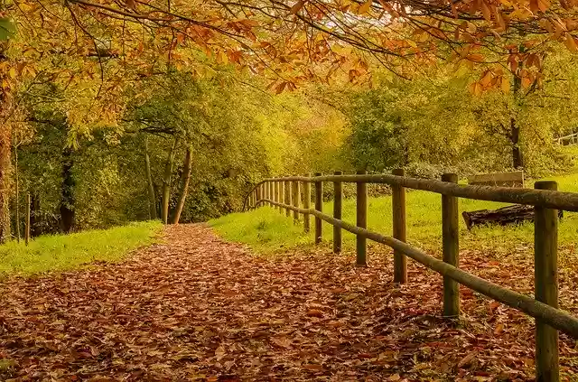 Free download Color Season Fall -  free free photo or picture to be edited with GIMP online image editor
