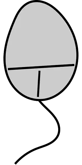 Free download Computer Mouse Peripherals - Free vector graphic on Pixabay free illustration to be edited with GIMP free online image editor