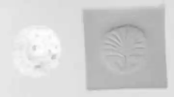 Free download Conoid seal with perforated top knob free photo or picture to be edited with GIMP online image editor