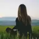 Contemplation in the Meadow  screen for extension Chrome web store in OffiDocs Chromium