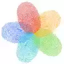 花漾指纹浏览器插件 Cook  screen for extension Chrome web store in OffiDocs Chromium