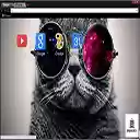cOoL cAt MiX  screen for extension Chrome web store in OffiDocs Chromium