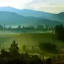 Cool Green Grass Hill  screen for extension Chrome web store in OffiDocs Chromium