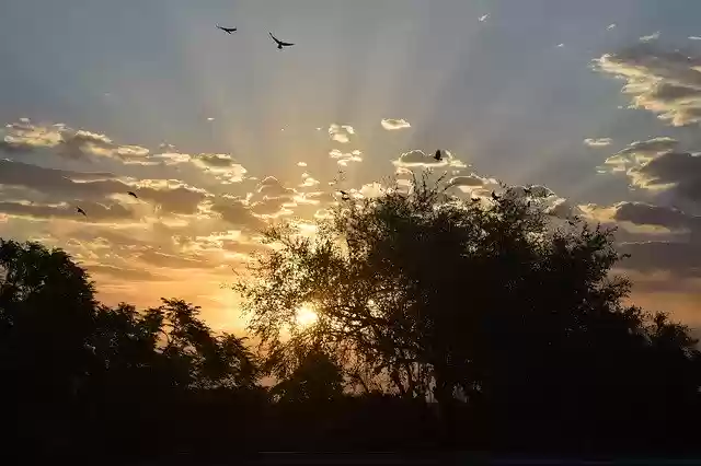 Free download Cool Sunshine Fantastic -  free photo or picture to be edited with GIMP online image editor