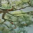 Cool tree wallpaper  screen for extension Chrome web store in OffiDocs Chromium