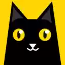 Copycat: Webflow Conversion (Beta)  screen for extension Chrome web store in OffiDocs Chromium