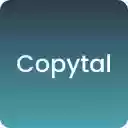 Copytal. TonViewer Parser  screen for extension Chrome web store in OffiDocs Chromium