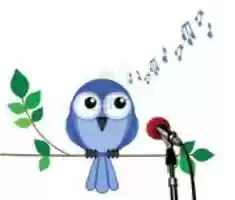 Free download Coro San Isidro free photo or picture to be edited with GIMP online image editor