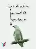 Free download Cotinga Bird free photo or picture to be edited with GIMP online image editor