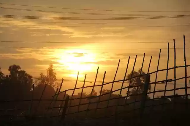 Free download Countryside Bamboo -  free photo or picture to be edited with GIMP online image editor