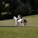 Couple on horseback  screen for extension Chrome web store in OffiDocs Chromium