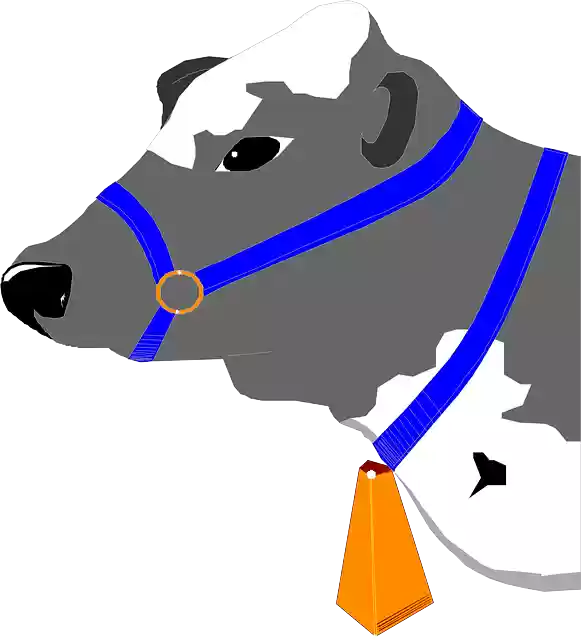 Free download Cow Bell Head - Free vector graphic on Pixabay free illustration to be edited with GIMP free online image editor