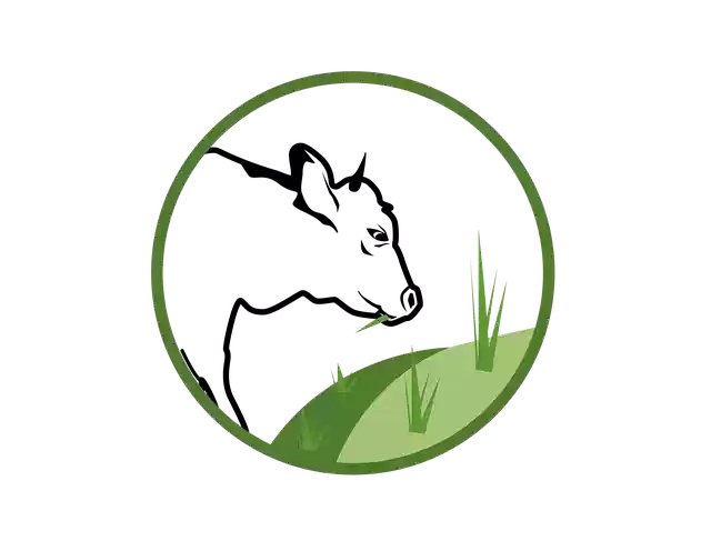 Free download Cow Cattle Milk Pasture -  free illustration to be edited with GIMP free online image editor