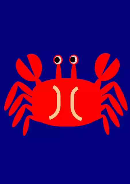Free download Crab Sea Animal - Free vector graphic on Pixabay free illustration to be edited with GIMP free online image editor