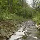 creek in the forest  screen for extension Chrome web store in OffiDocs Chromium