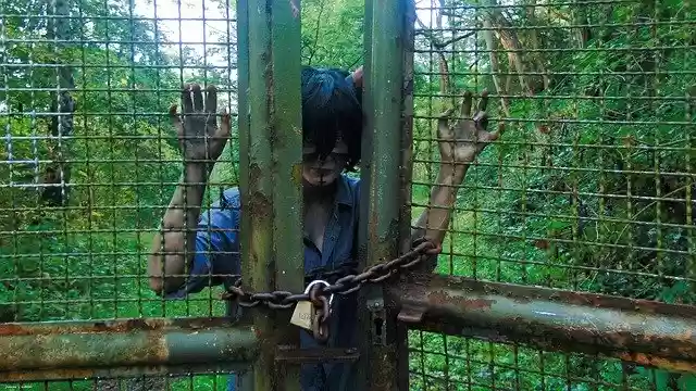 Free download Creepy Cosplay -  free photo or picture to be edited with GIMP online image editor