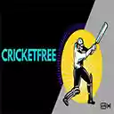 Cricket Player Interface  screen for extension Chrome web store in OffiDocs Chromium