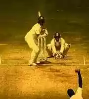Free download Cricket Shot free photo or picture to be edited with GIMP online image editor