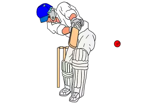 Free download Cricket Sport Ball Game -  free illustration to be edited with GIMP free online image editor