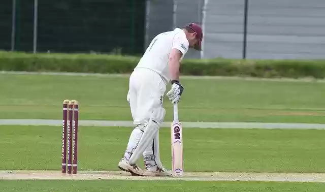Free download Cricket Sport Batsman -  free photo or picture to be edited with GIMP online image editor